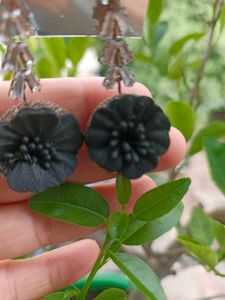 Unique Black Flower Dangle Earrings