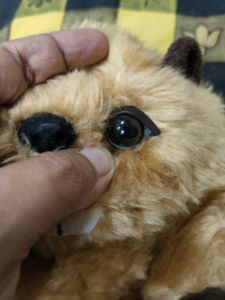 Plush Stuffed Animal Toy