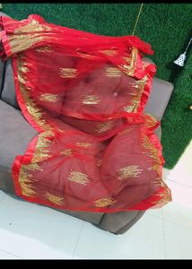 Red Saree with Gold Embellishments
