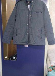 Men's Gray Padded Jacket