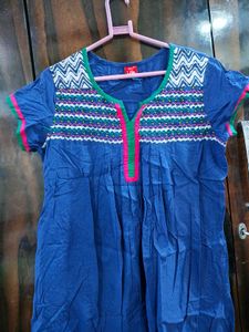 Blue Kurta with Embroidered Neck