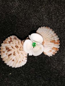 Real(Original) Seashell Hair Clip with Green Gem