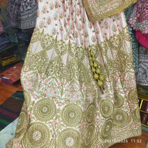 Exquisite Pink &amp; Mint Lehenga Choli