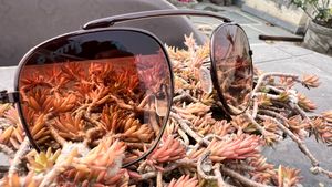 Stylish Aviator Sunglasses