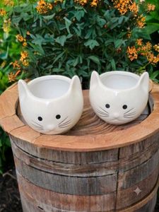 Set of 2 Cute Cat Face Ceramic Planter Pots