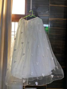 Beautiful Embroidered Skirt