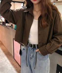 Korean Pintrest Stylish Cropped Collared Shirt