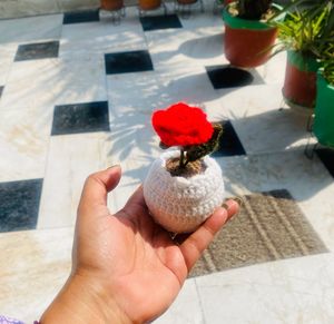 Handmade Crochet Rose Plant Decor