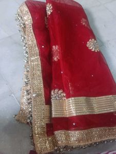 Designer Lehenga Choli Set