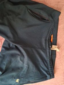 Wildcraft Teal Textured Pants