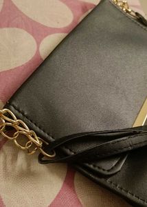 Charles &amp; Keith Black Bag