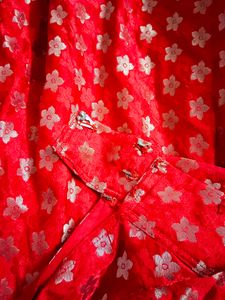 Banarasi Desiner Skirt