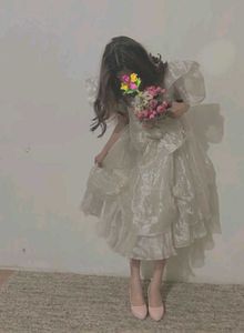 Elegant Dress