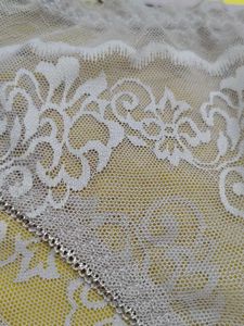 2012 -- Transparent Lace Trim panty