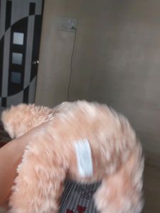 Teddy Bear