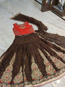 Gorgeous Brown Embroidered lehenga