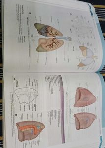 Applied Anatomy &amp; Physiology for Nurses Textbook
