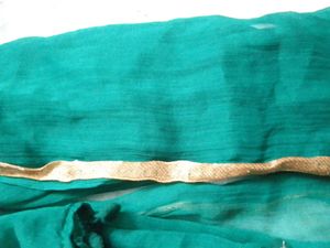 Emerald Green Dupatta with Gold Trim