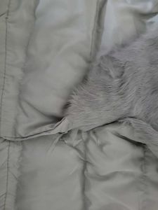 Fur Collar Padded Jacket