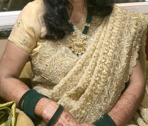 Embellished saree