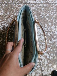 Esbeda Elegant Clutch