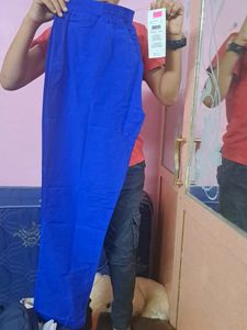 Stylish Pant