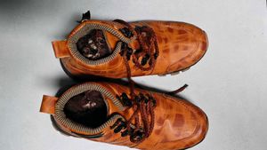 Boys Tan Casual Shoes