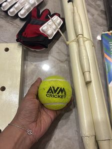 AVM Cricket Set for Kids