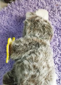 Bunny Plush with Butterfly