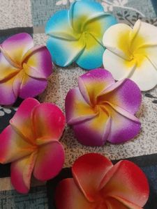 Vibrant Plumeria Hair Clips - Set of 6