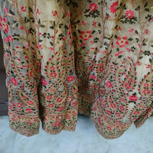 Embroidered Lehenga Choli