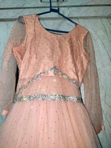 Elegant Peach Embellished Gown