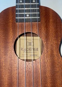 Ukulele With Bag