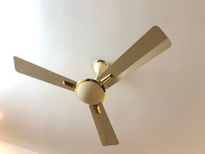 Elegant Ceiling Fan