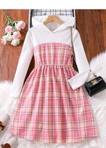 Cute Pink Plaid Dress with Hood