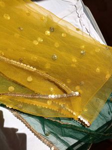 Vibrant mustard Yellow Lehenga set