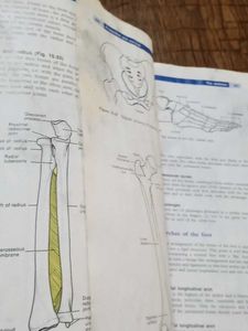 Anatomy &amp; Physiology By Ross &amp; Wilson