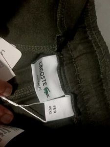 Lacoste Sport Sweatpants green
