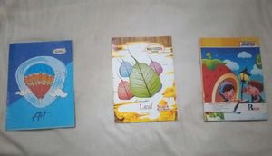 Notebooks - Set of 3📚