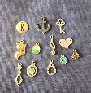 12 Assorted Charms