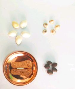 Lakshmi Charan Paduka Set