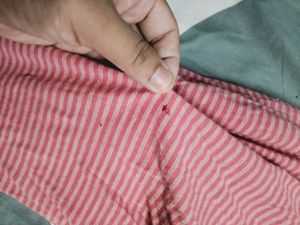 Comfortable Striped Lounge Pants