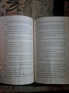 The Boyfriend by Freida McFadden