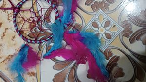 Dream Catcher