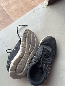 Sport Shoes