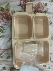 Cello Lunch Box For School