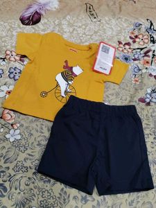 Cute Bear T-Shirt & Shorts Set
