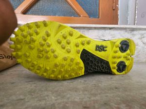 DSC Cricket Shoes
