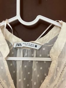 Sheer Button-Up Blouse| Never worn| Brand n
