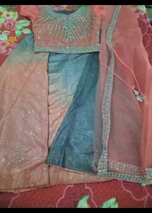 Embroidered Indian Blouse
